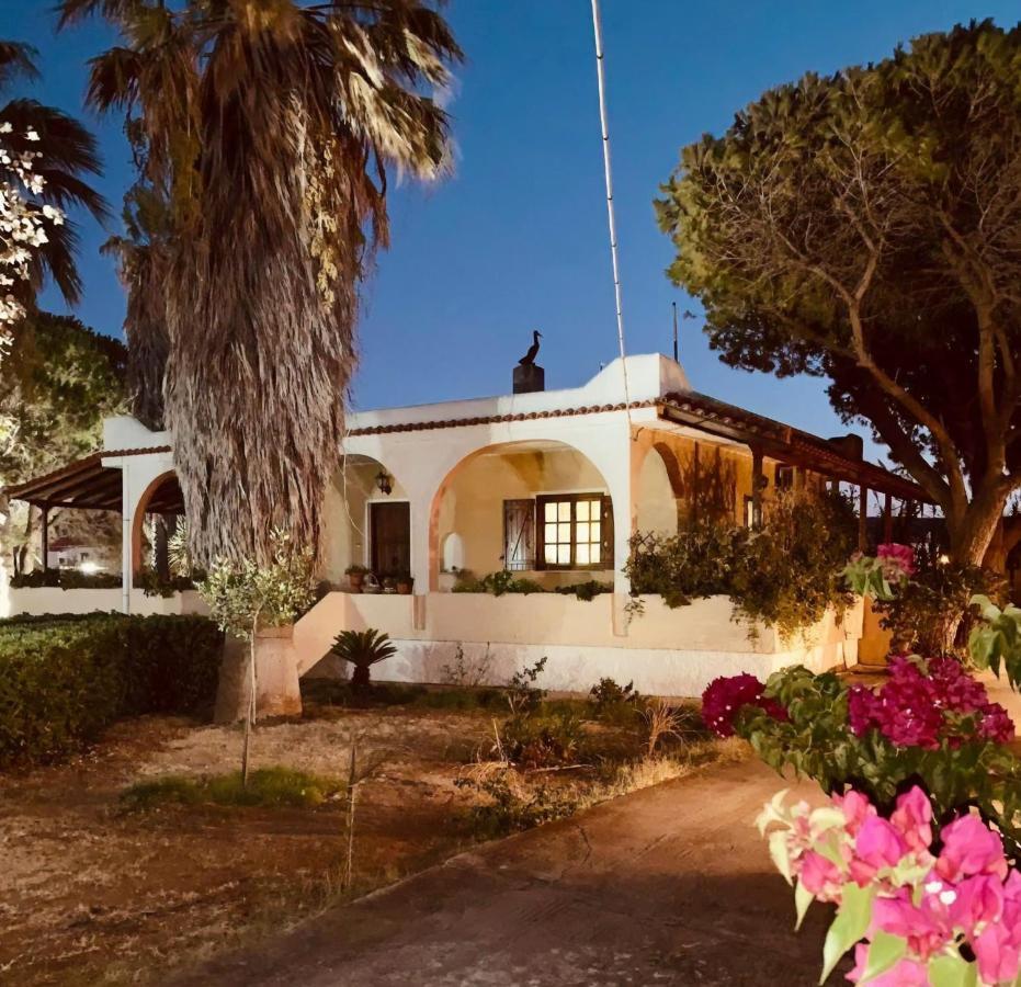 Vravrona Family House Villa Ártemida Kültér fotó