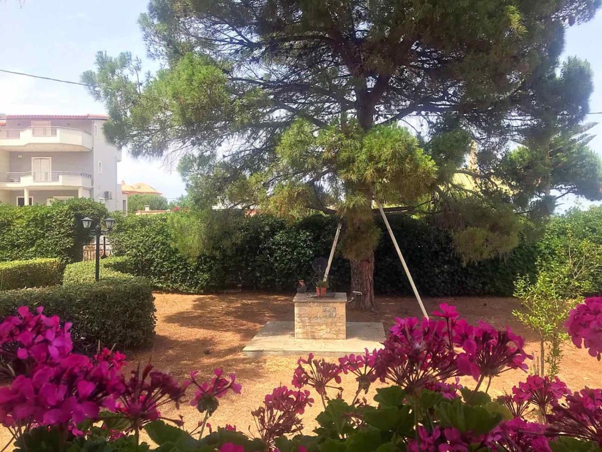 Vravrona Family House Villa Ártemida Kültér fotó